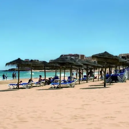 Homely Loft * Торевьиа